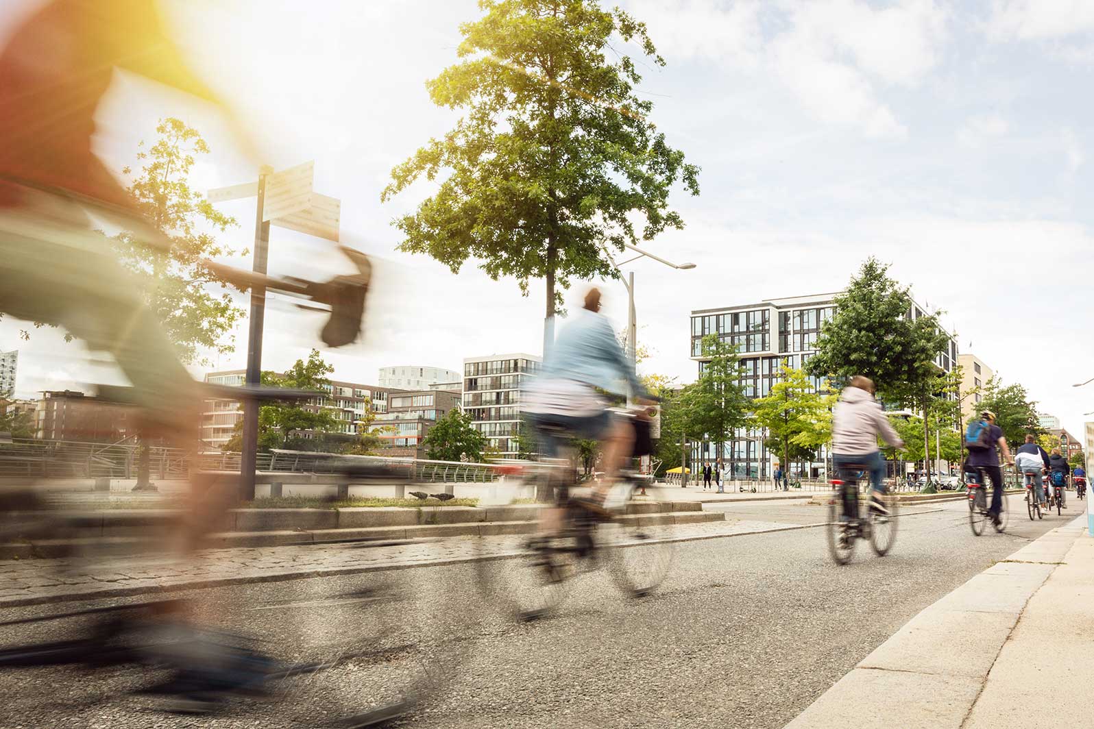 Cyclists riding along a tree-lined city street